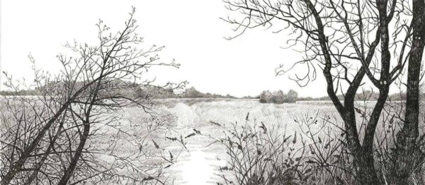 paysage de lac en hiver, arbres en silhouette avec des yeux. stylo